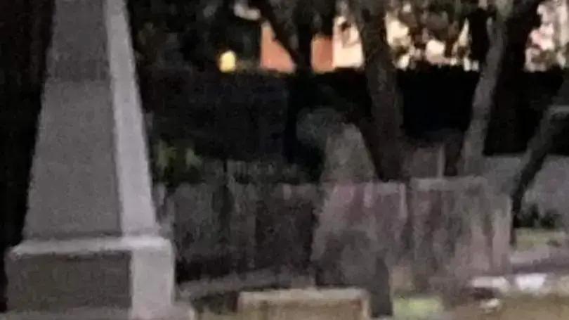 רוח רפאים של סו הווארד הארדי נצפתה שוב לכאורה בבית הקברות של כנסיית סנט פיליפ בצ'רלסטון