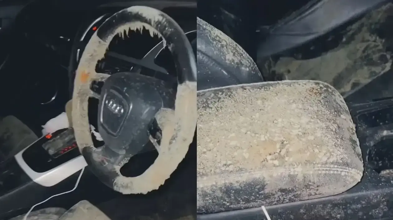 דוגמנית מצאה עובש ברכב לאחר שלא נסעה בו כמה שבועות