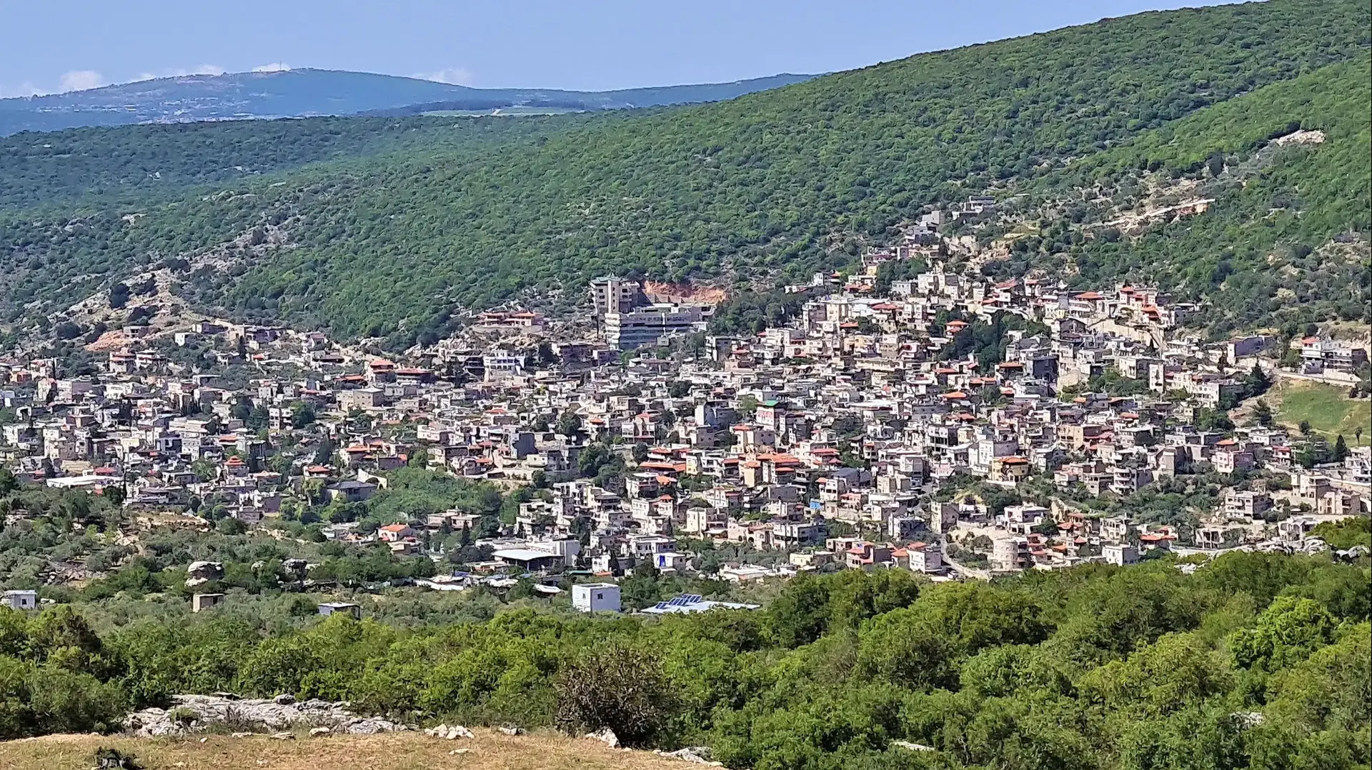 פקיעין