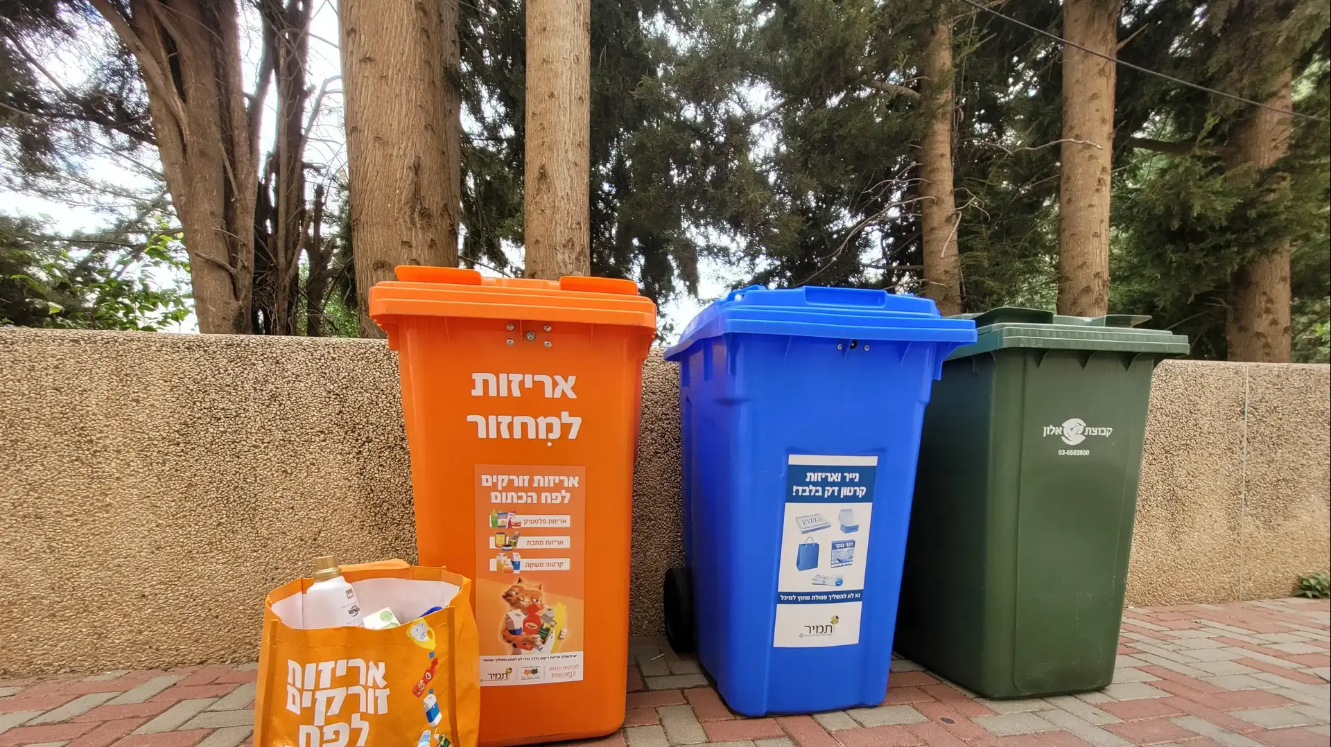 פחים תמיר