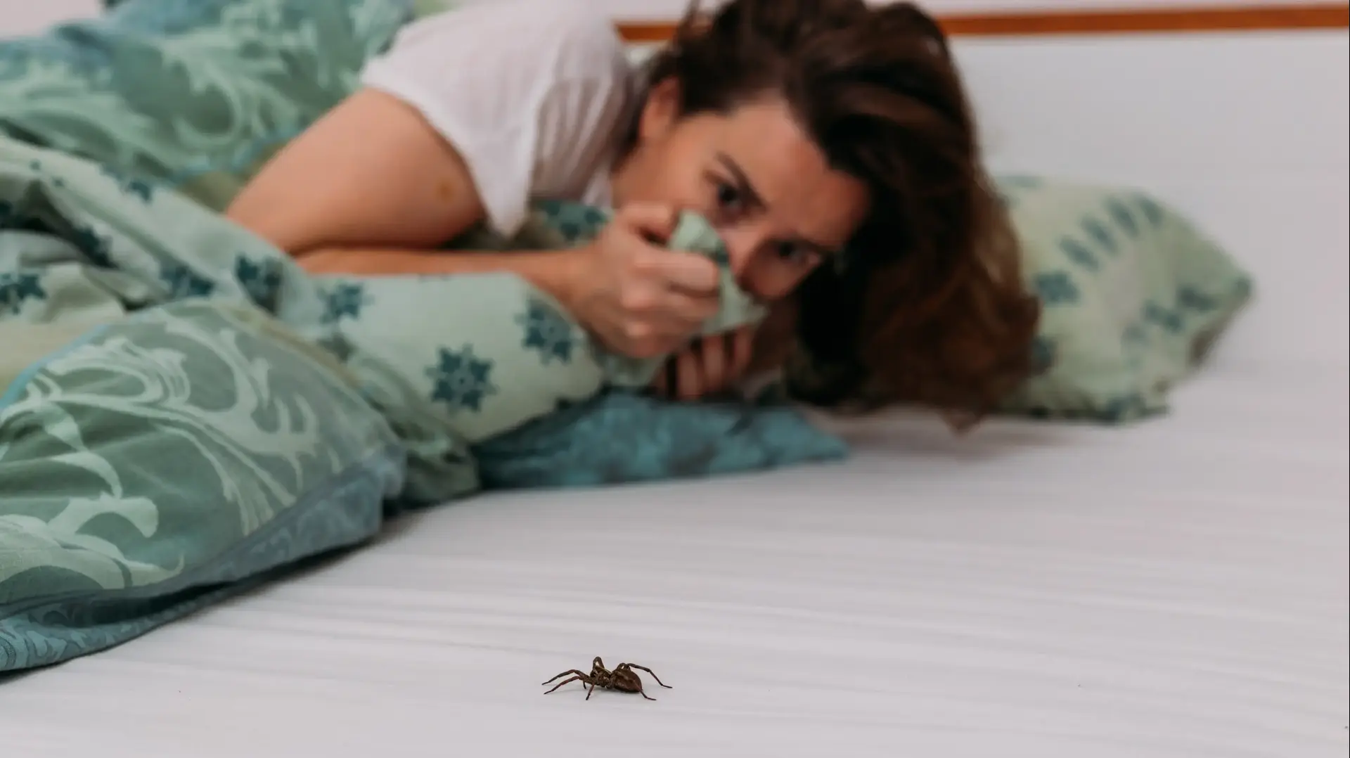 אישה מפחדת מעכביש בבית
