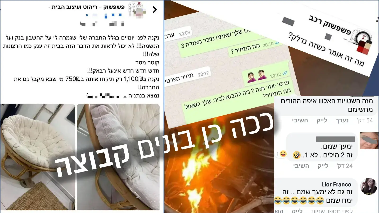 פשפשוק ראשי פשפשוק ראשי