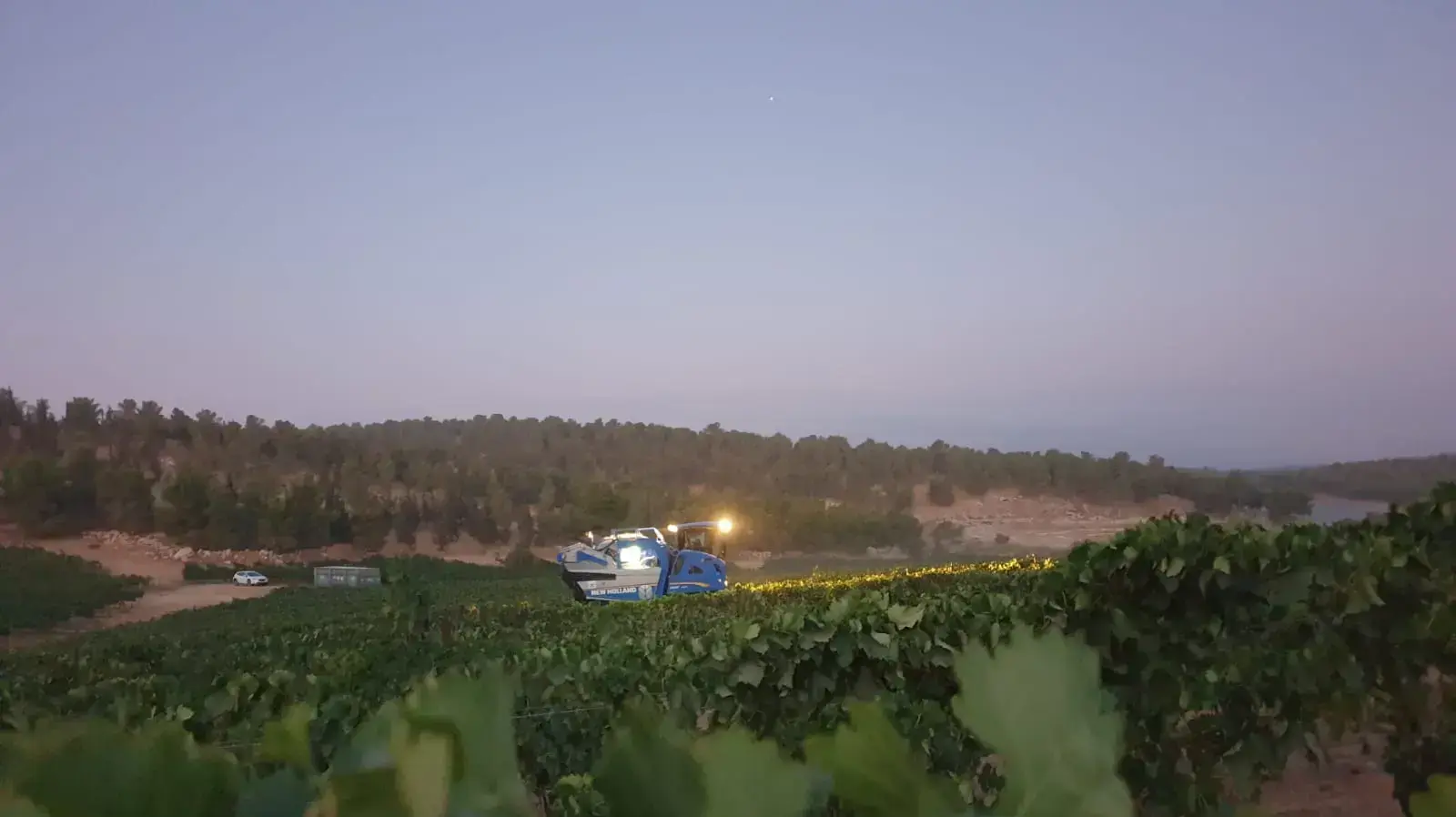 בציר ביקב יתיר בציר ביקב יתיר