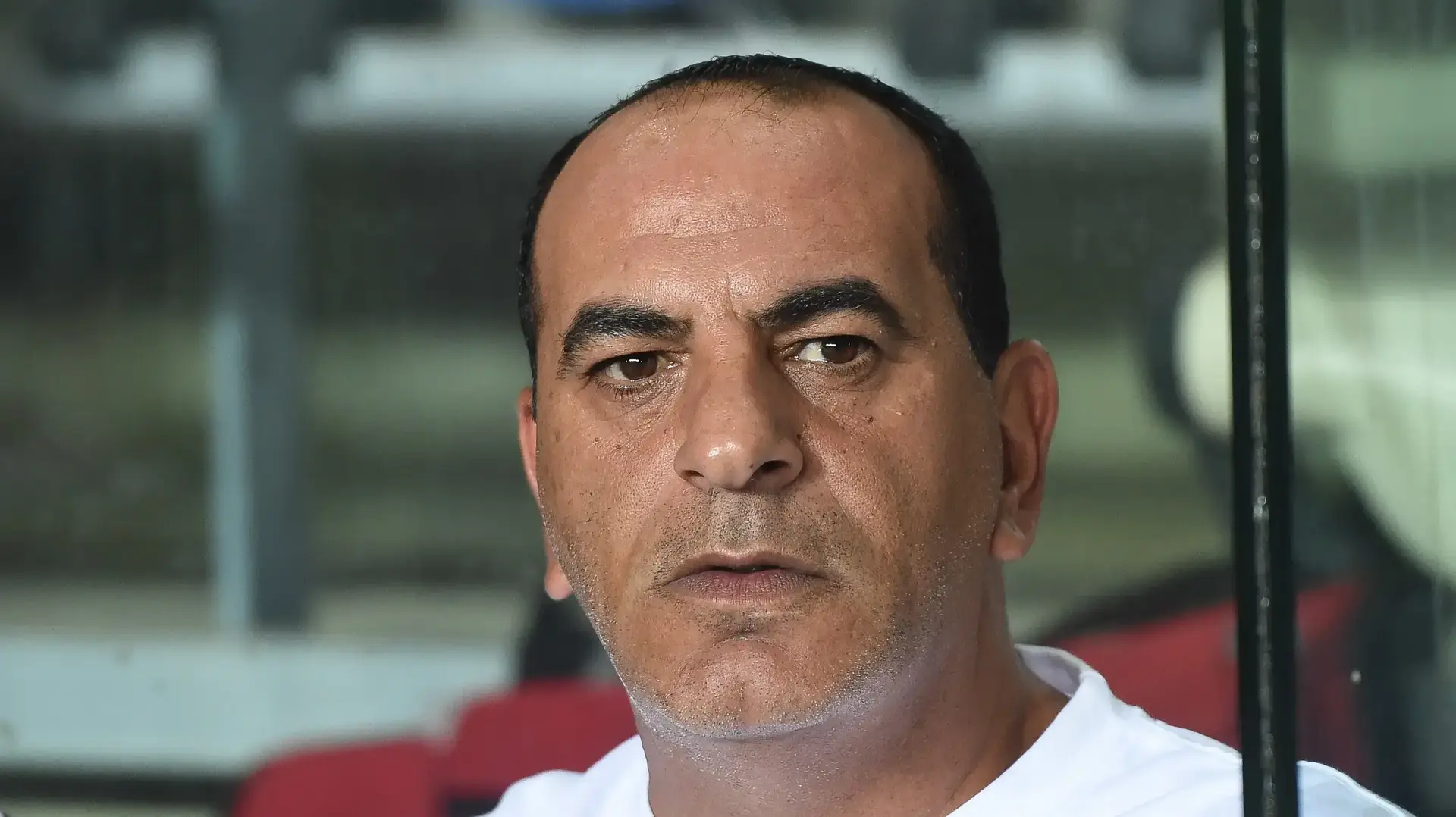 קובי רפואה, מאמן הפועל תל אביב