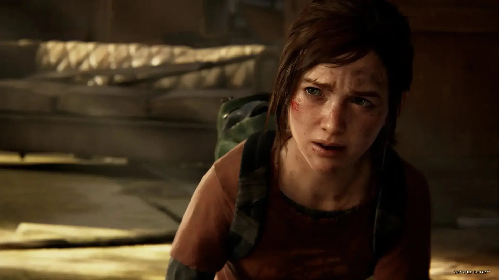 The Last of Us Part 1 Remake