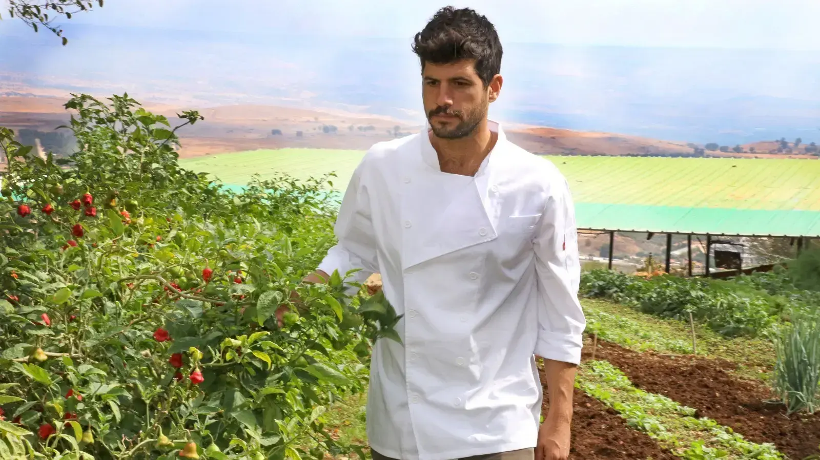 הלל גרדי מאסטר שף