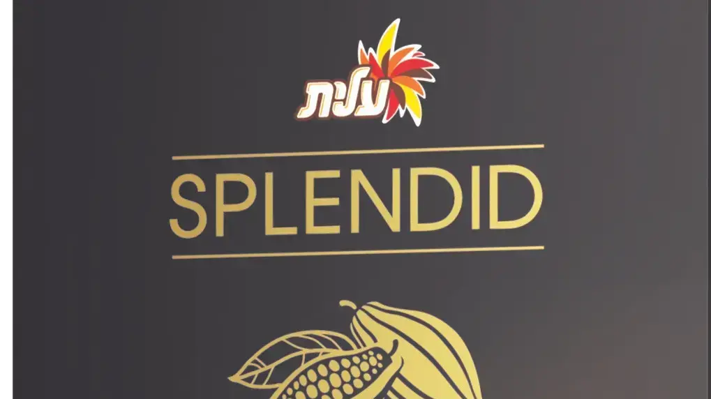 ספלנדיד