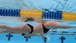 לימודי שחיית חתירה