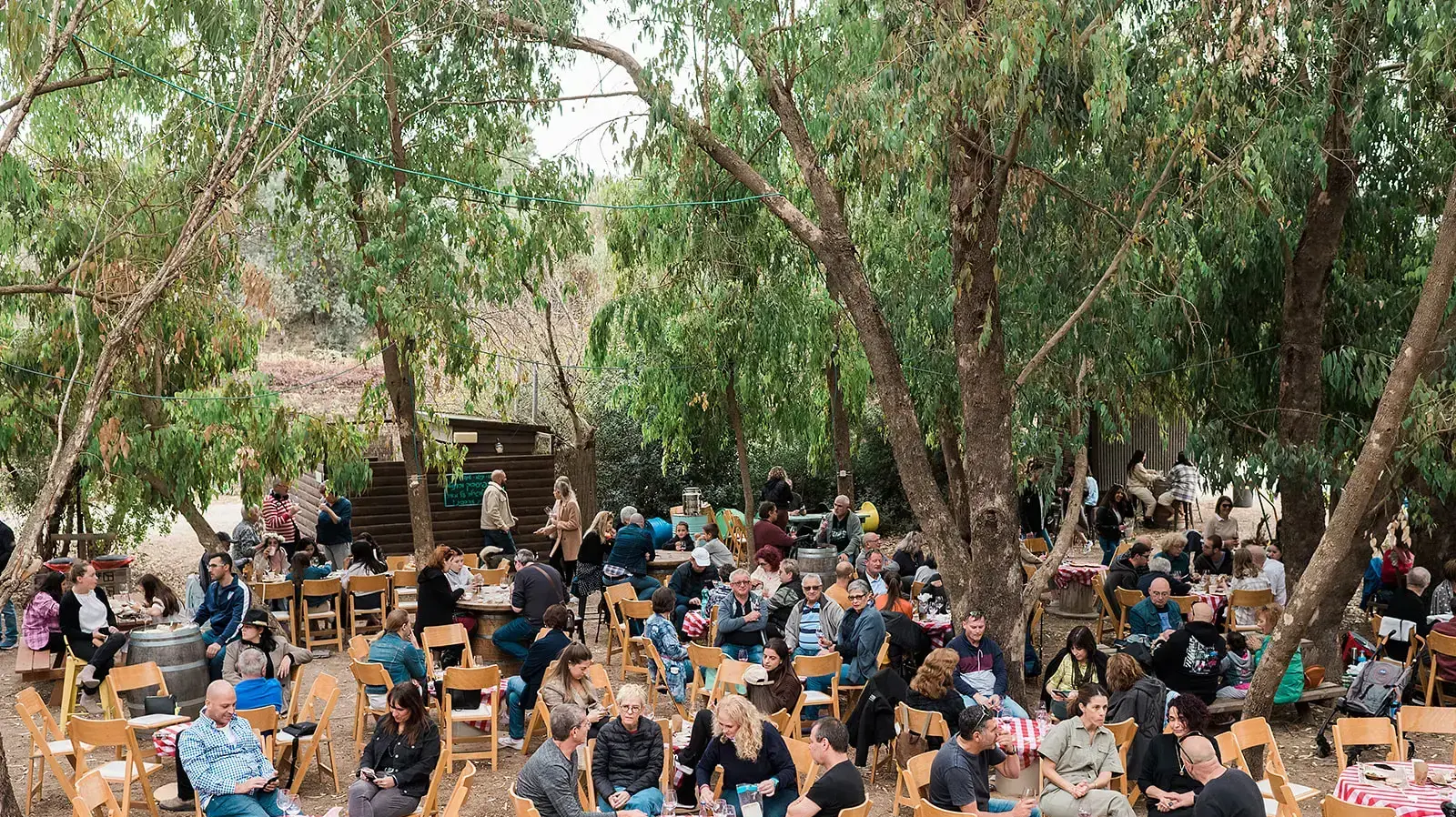 חגיגות בוז'ולה ביקב אופיר
