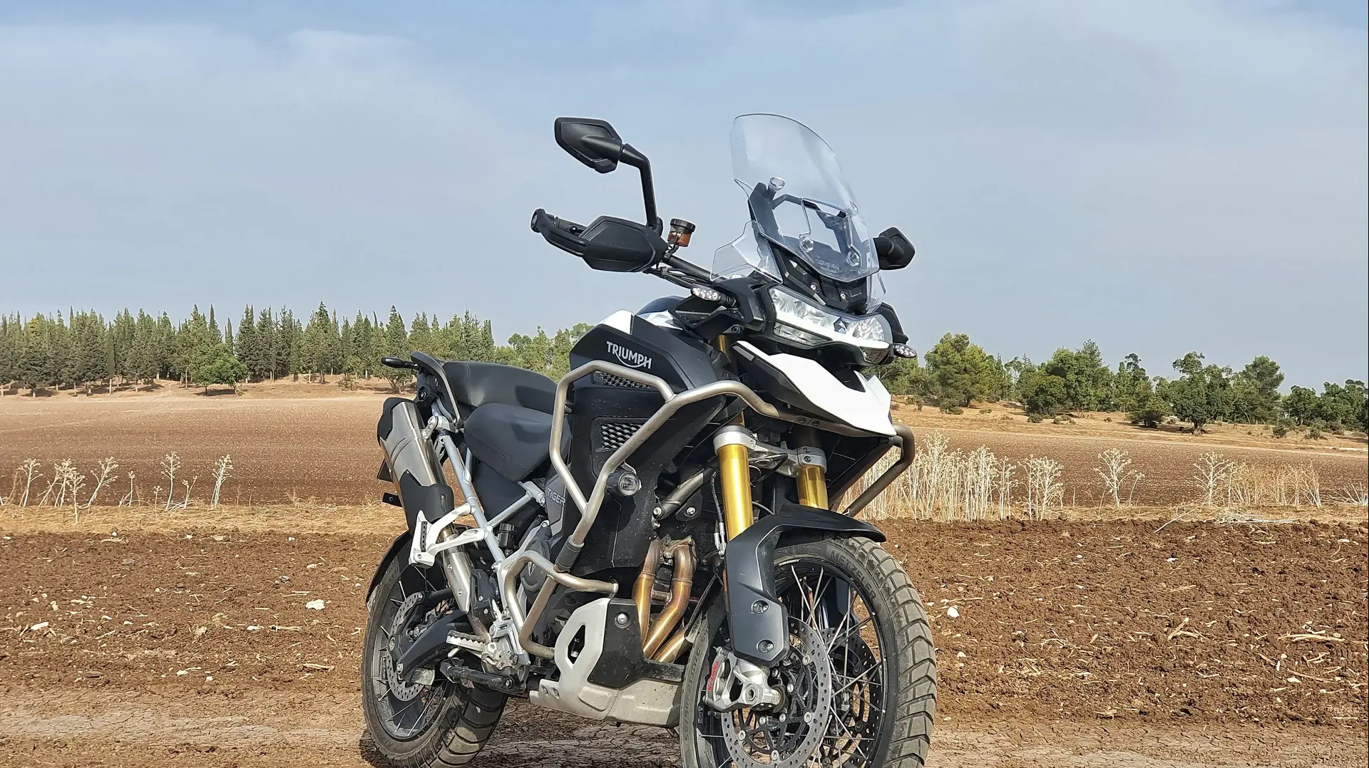 טריומף טייגר 1200