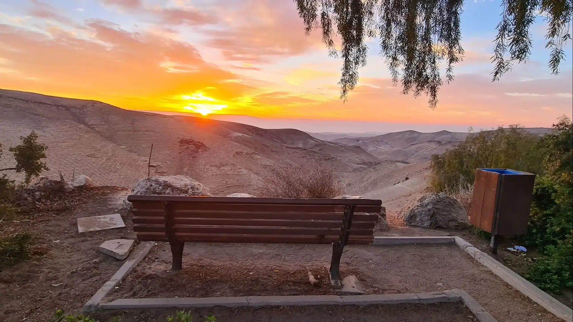 זריחה בערד זריחה בערד
