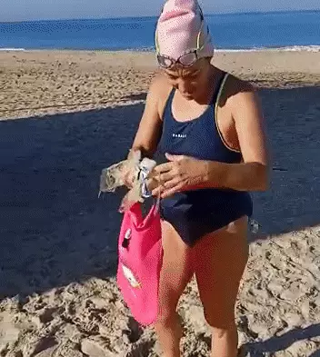 שחיינים פינו פסולת מחוף פלמחים בתוך בגדי ים