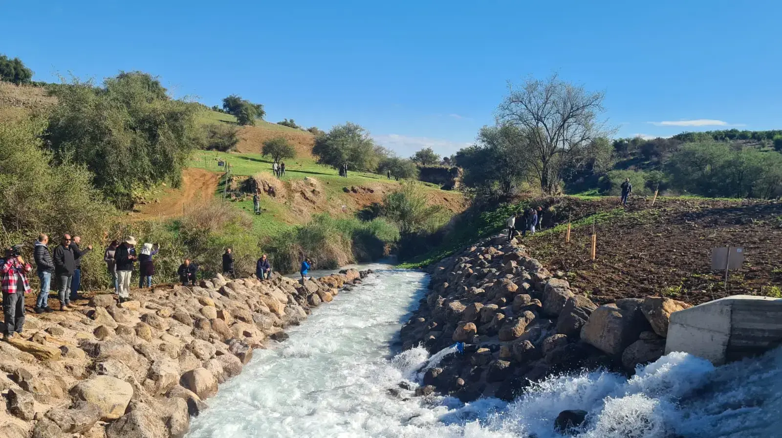 פרויקט המוביל ההופכי
