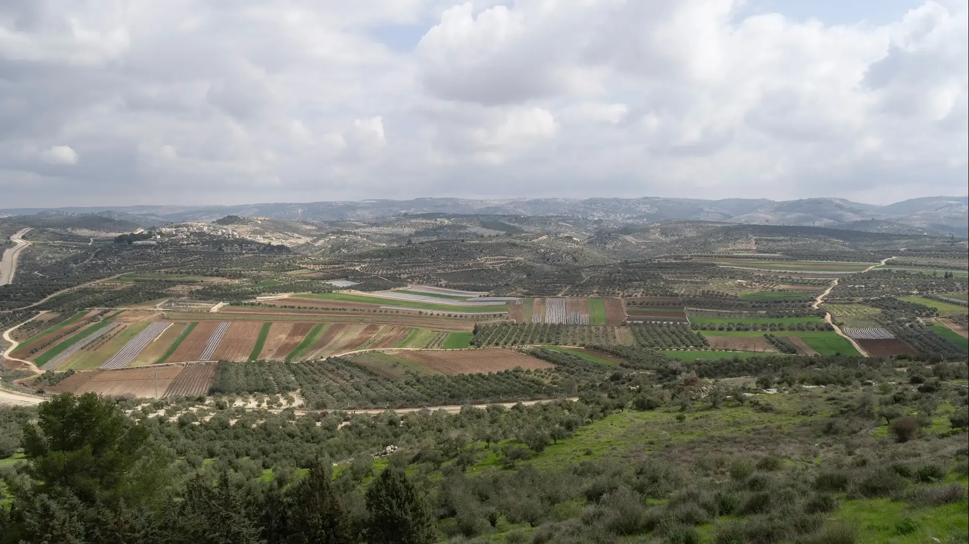 יהודה ושומרון