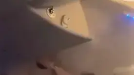 דיילת לופטהנזה מכבה שריפה מלפטופ בטיסה