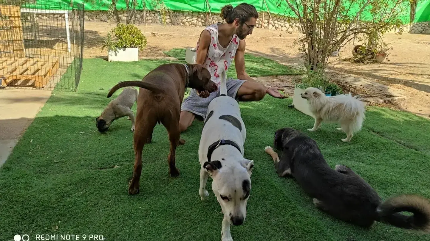 הלוחש לכלבים בן ואקנין