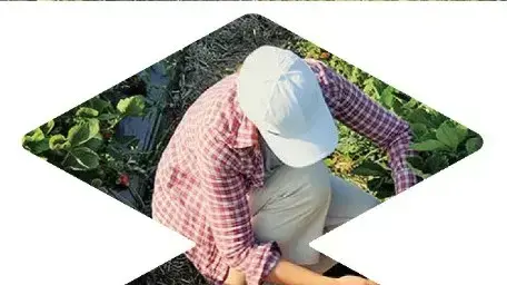 המיתוג החדש של ישראכרט