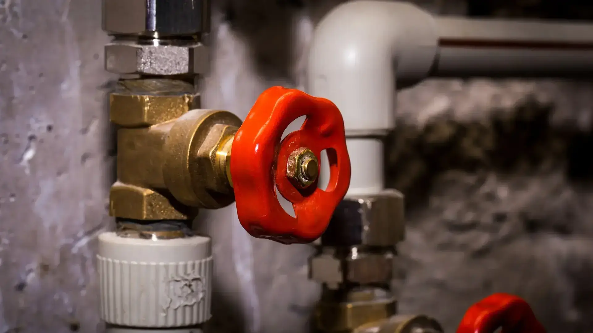ברז מים