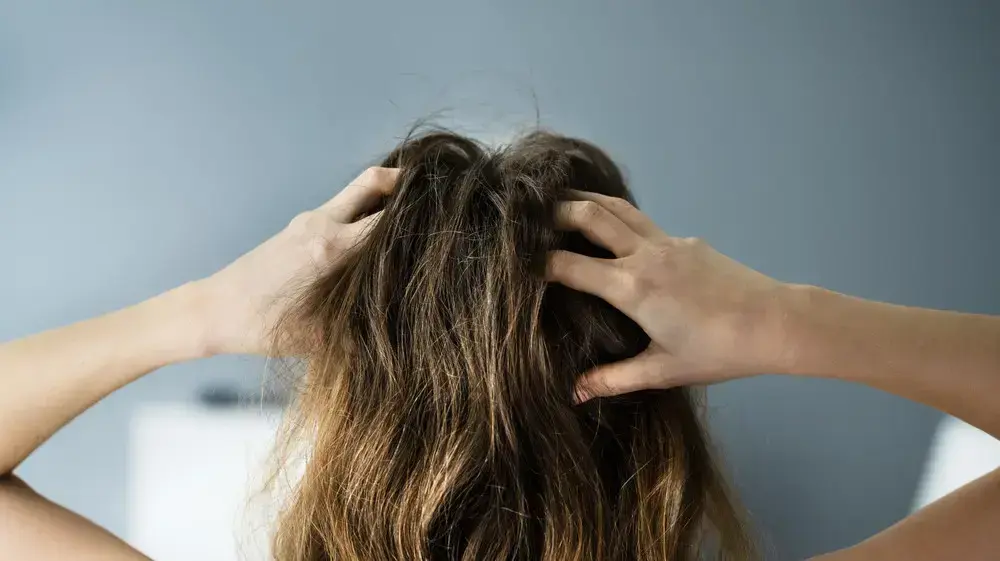אישה מגרדת בקרקפת אישה מגרדת בקרקפת
