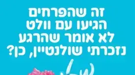 וולט
