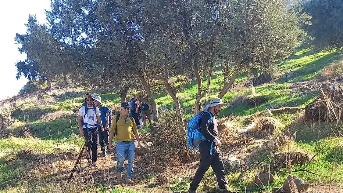 קרני חיטין