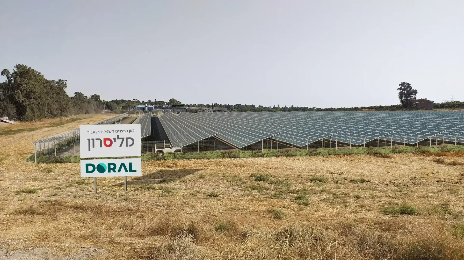 דוראל מליסרון
