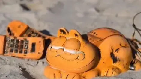טלפון גארפילד שנשטף לחוף