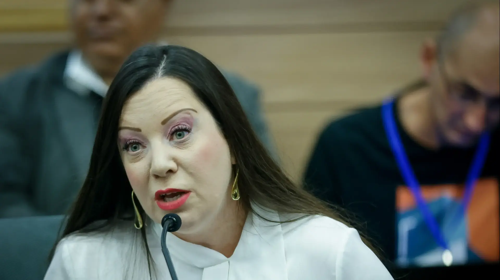 טלי גוטליב, דיון ועדת חוקה, 13 במרץ 2023