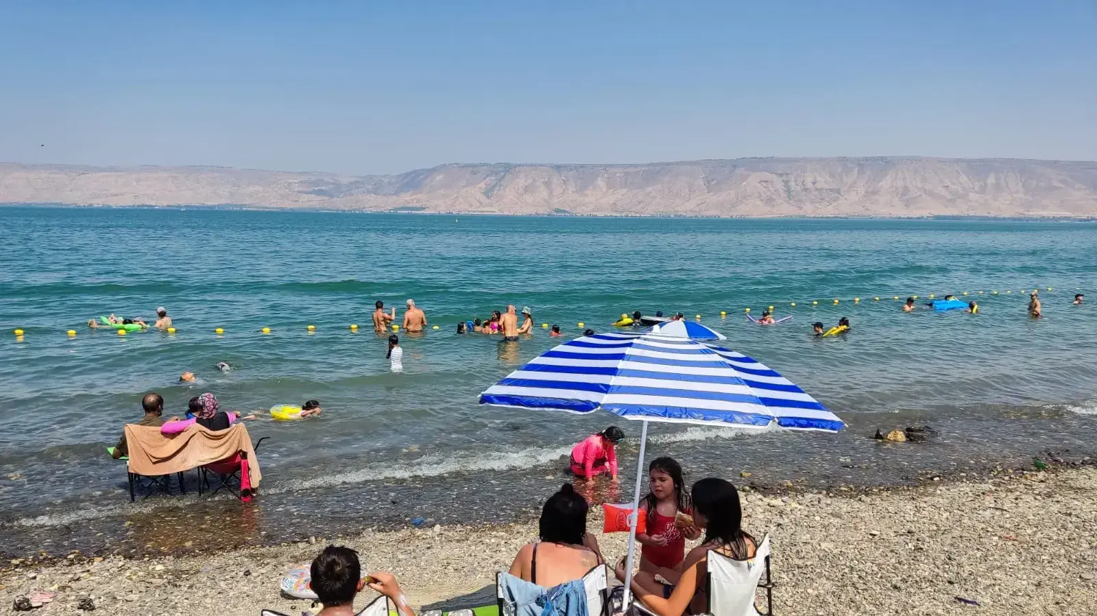 חוף כינרת