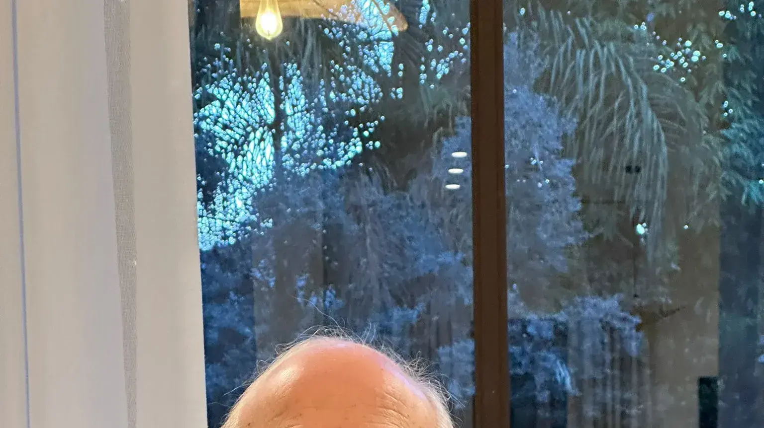 אודי רובוביץ'