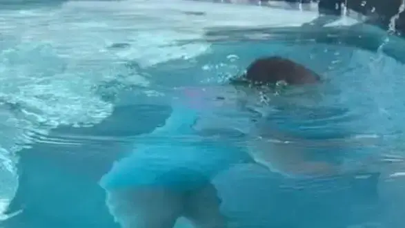 צבע בגד הים שאסור לתת לילדים ללבוש
