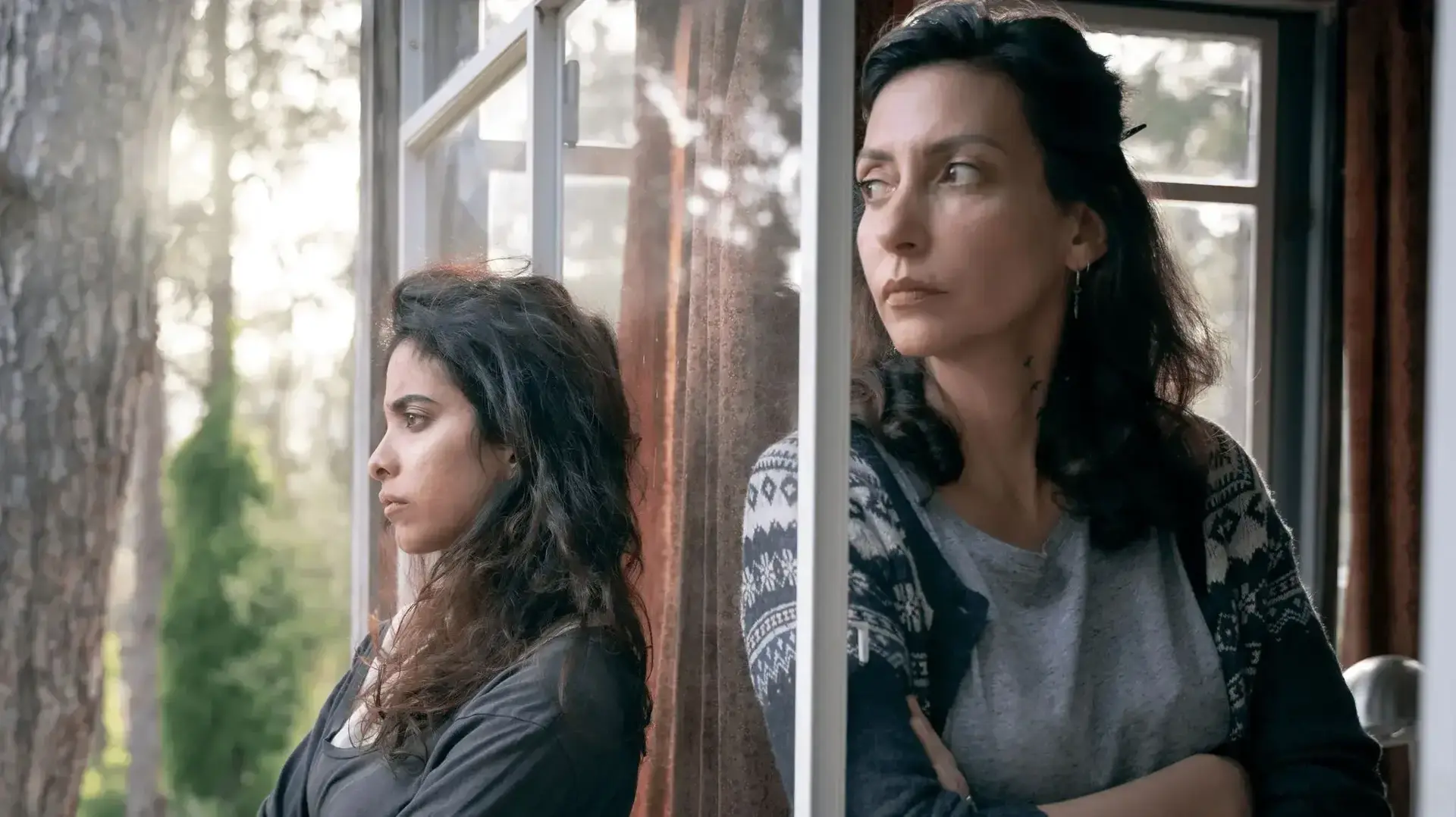 העתיד סרט של נעם קפלן