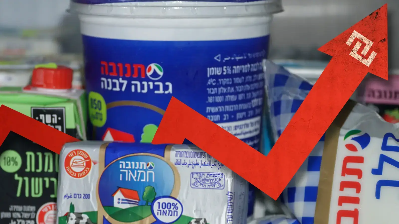 מוצרי חלב עולים במחירים