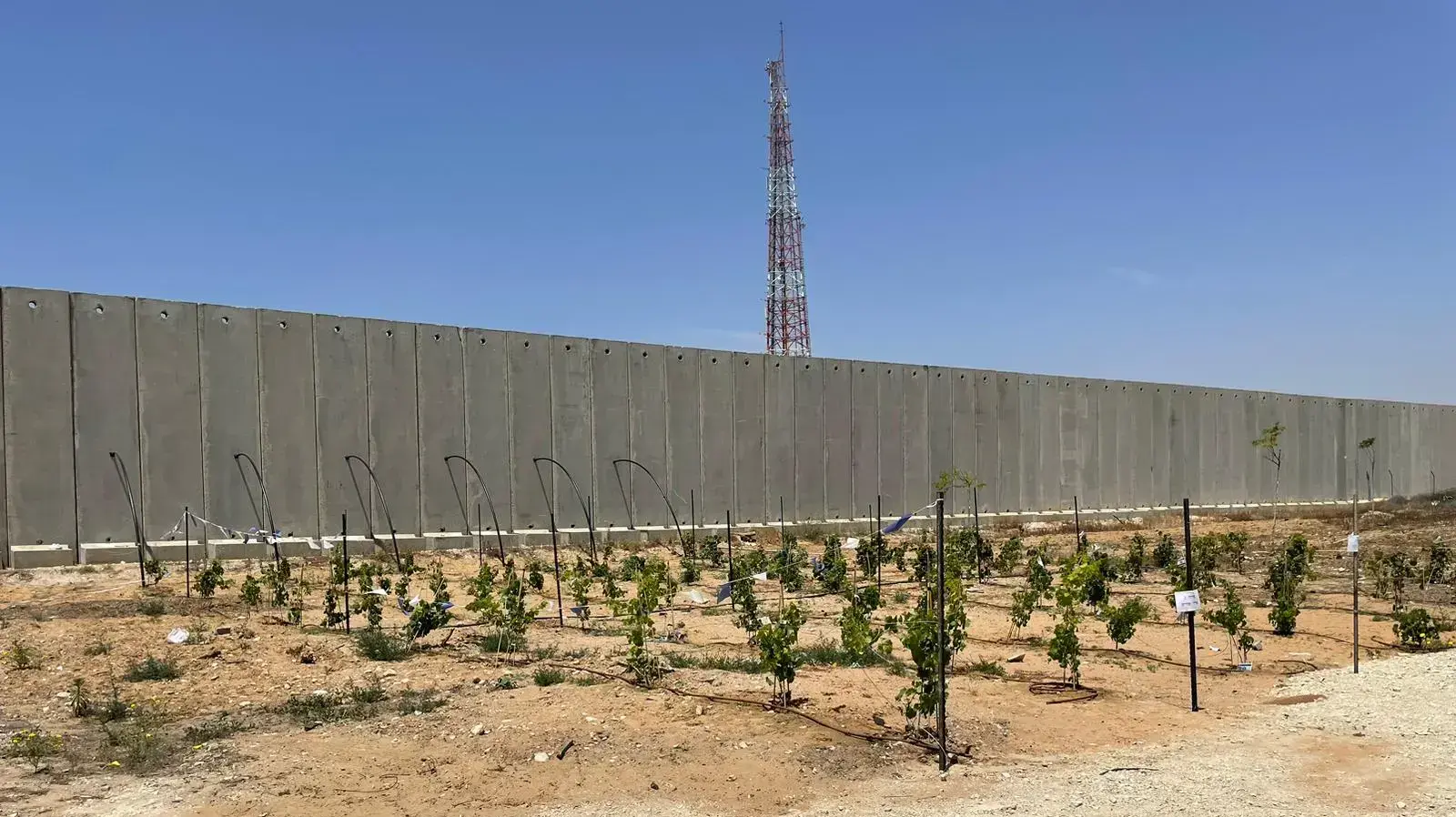 כרם שלום, שלושה ימים אחרי הפסקת האש