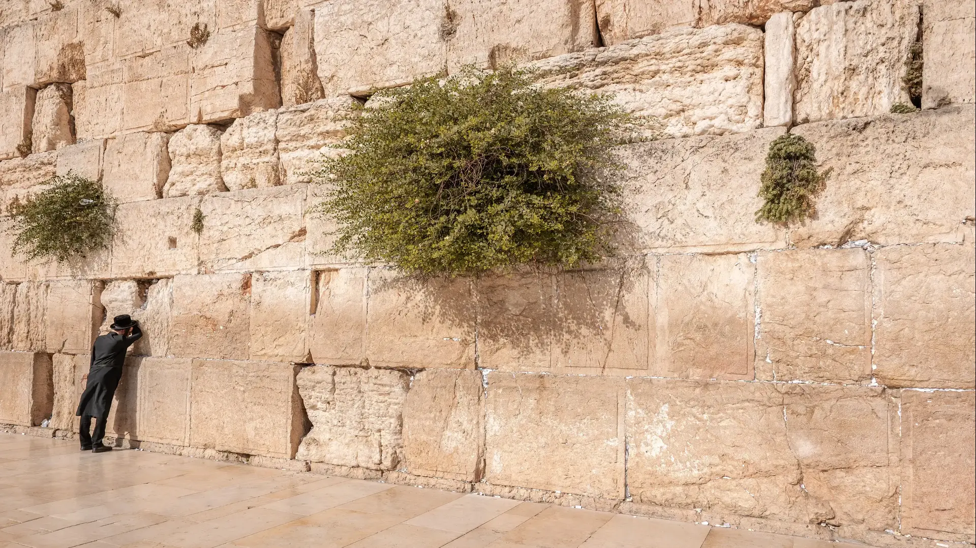 הכותל המערבי בירושלים