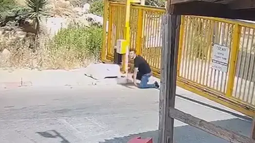 חדירת מחבל ליישוב טנא עומרים בדרום הר חברון