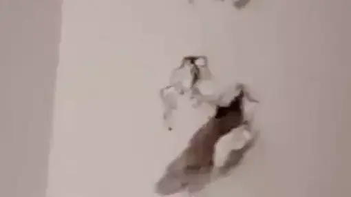אצבע של אדם חי הגיחה לפתע מהקיר