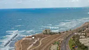 תל שקמונה