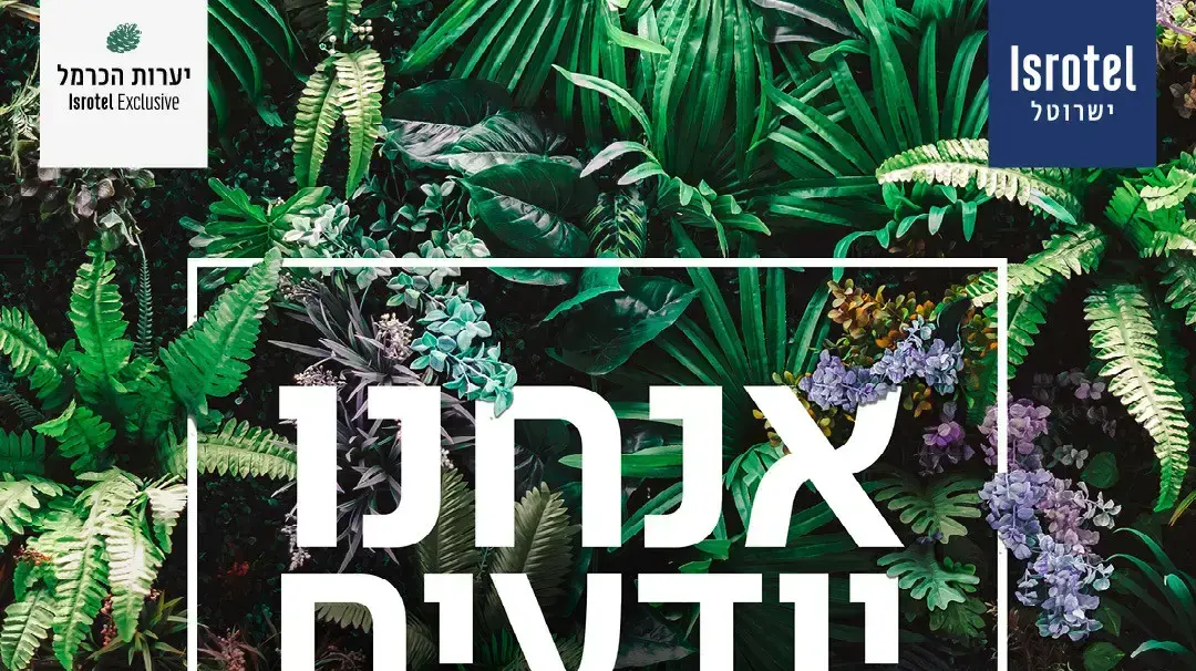 קמפיין פתיחה מחודשת למלון יערות הכרמל