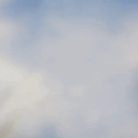 ג'ין וטוניק