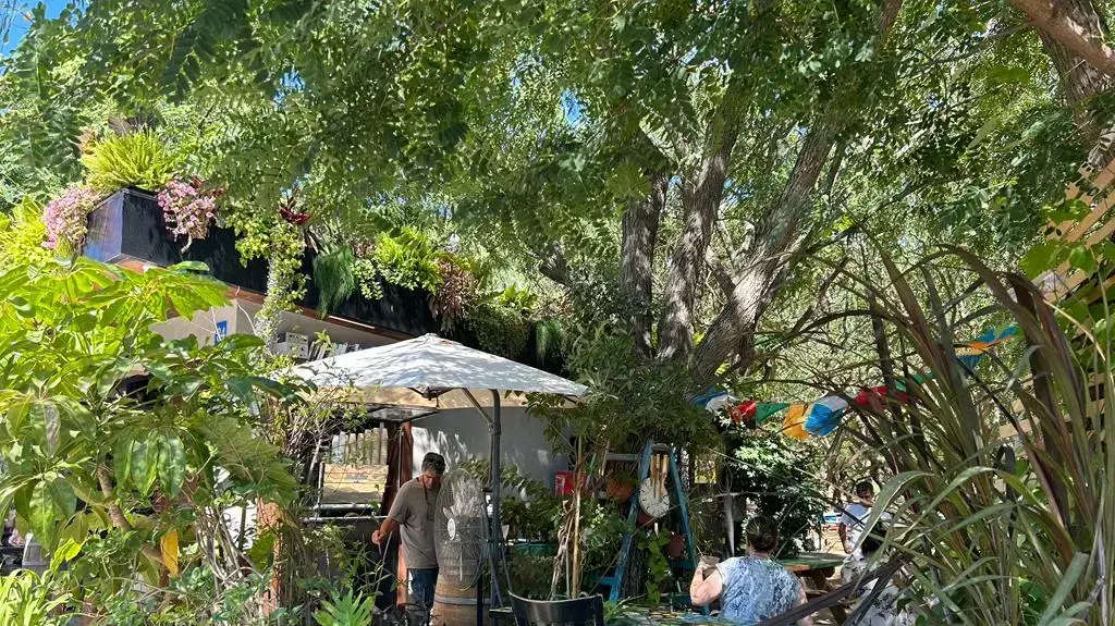 גרונימן 8