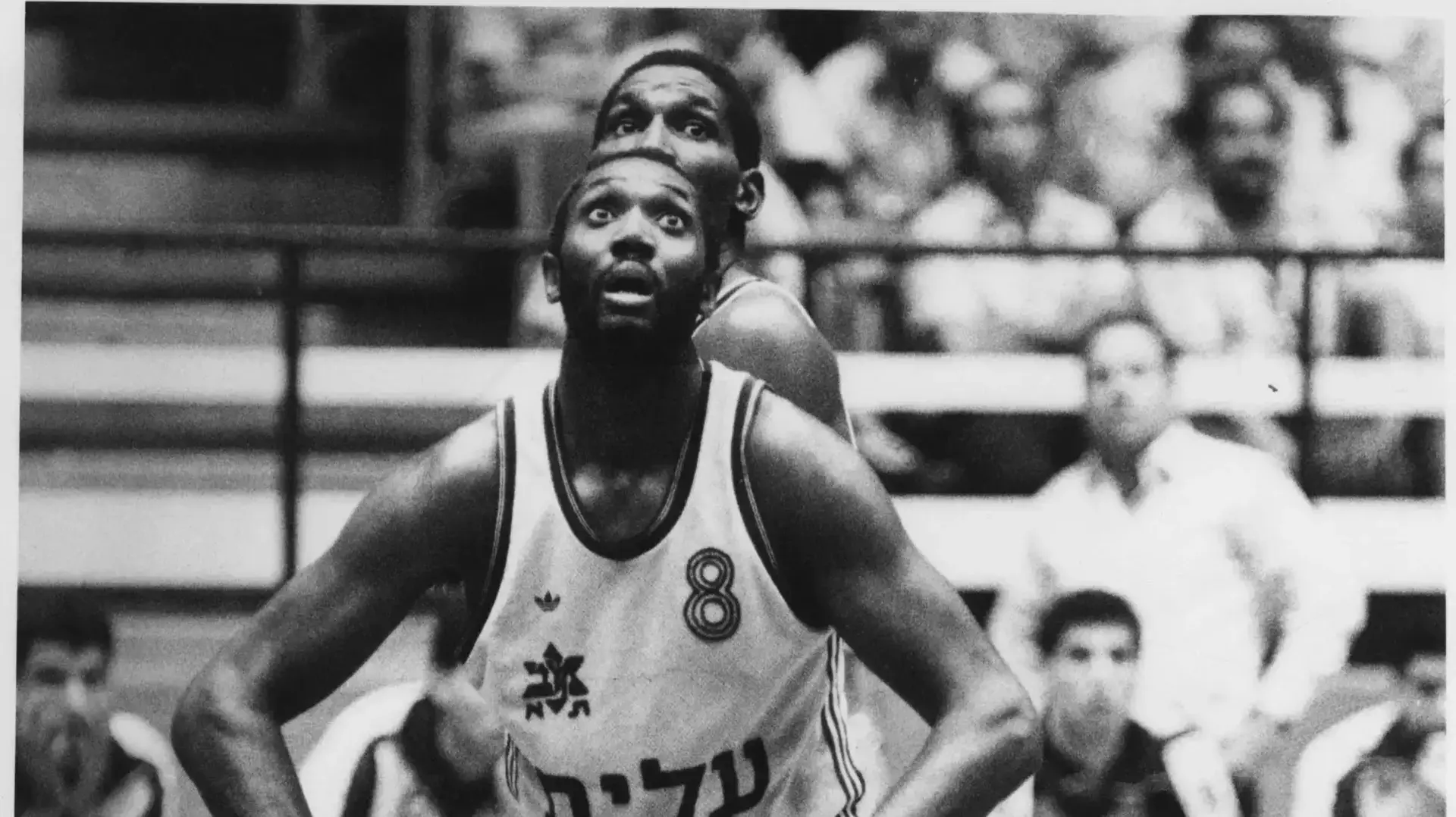 לבן מרסר