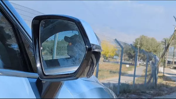 מראת צד אוטומטית