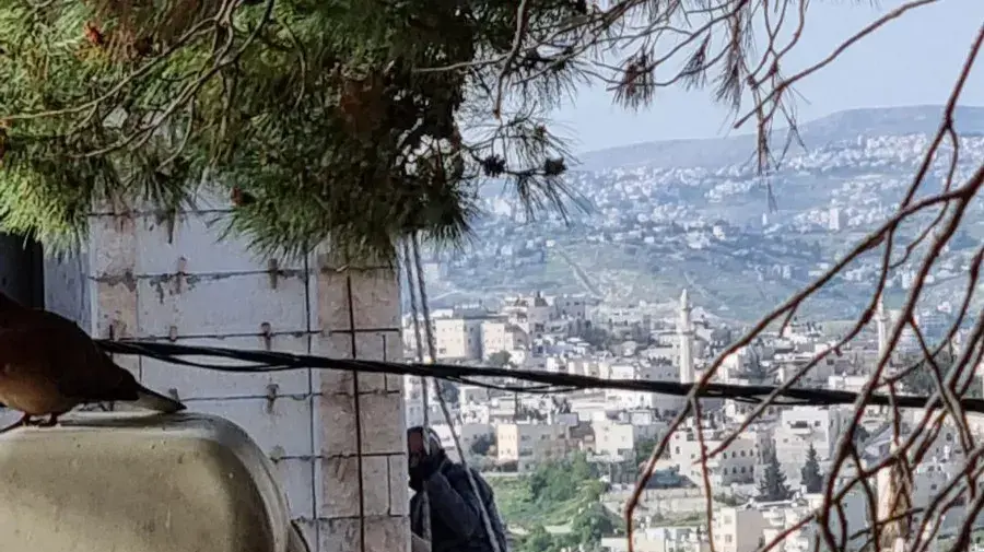 דוגמאות להפרות בטיחות שדווחו ברחבי הארץ