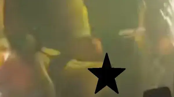 הזמרת הברזילאית Mc pipokinha חושפת את ישבנה לקהל