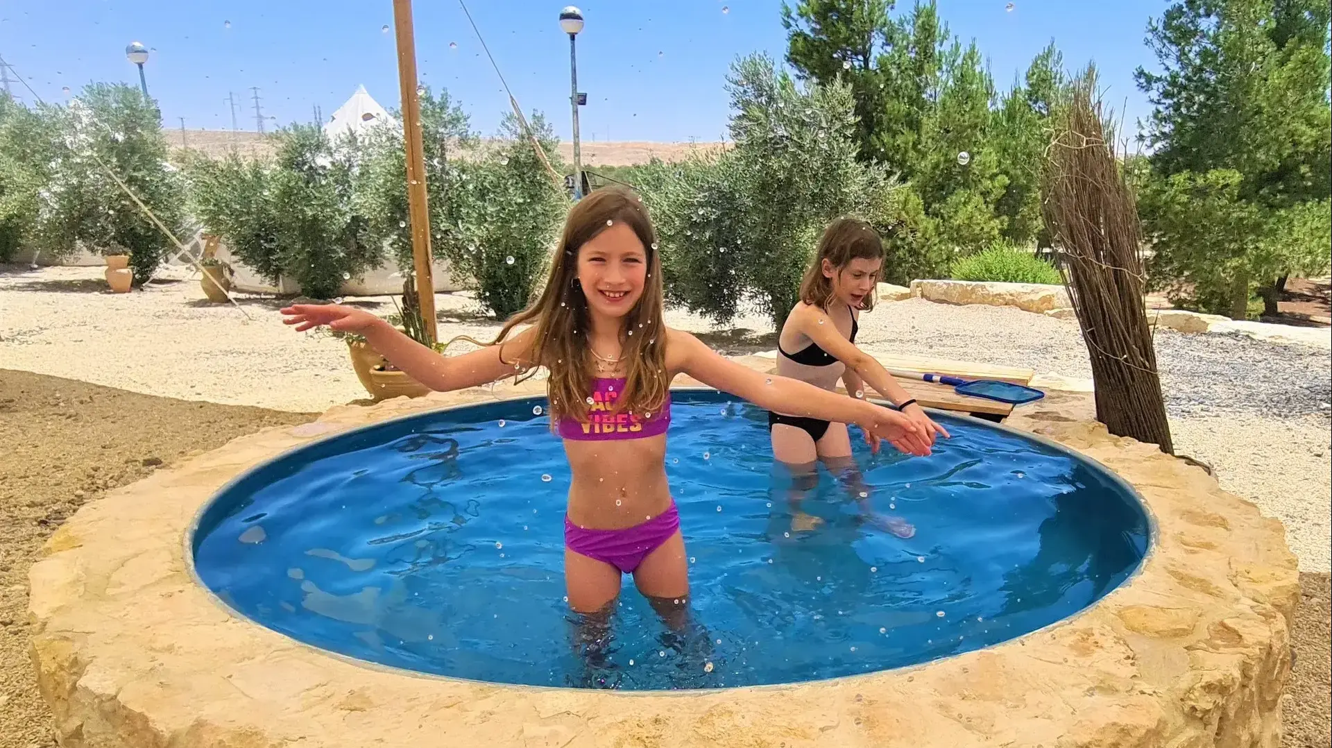 שכשוכית בחוות כרמי נגב