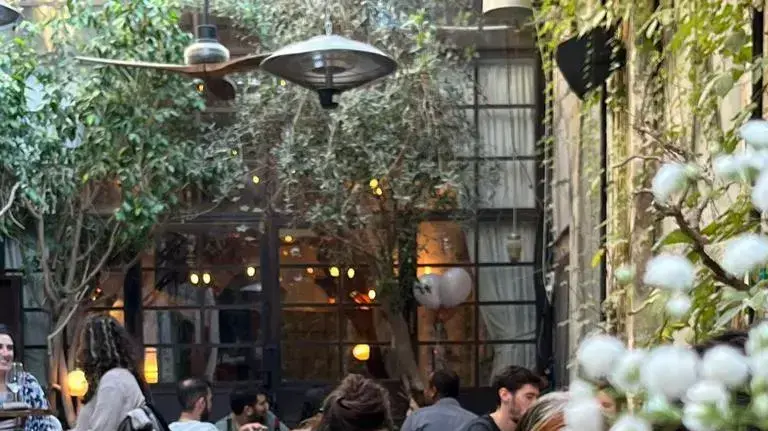 הגפן, חצר יין, יפו
