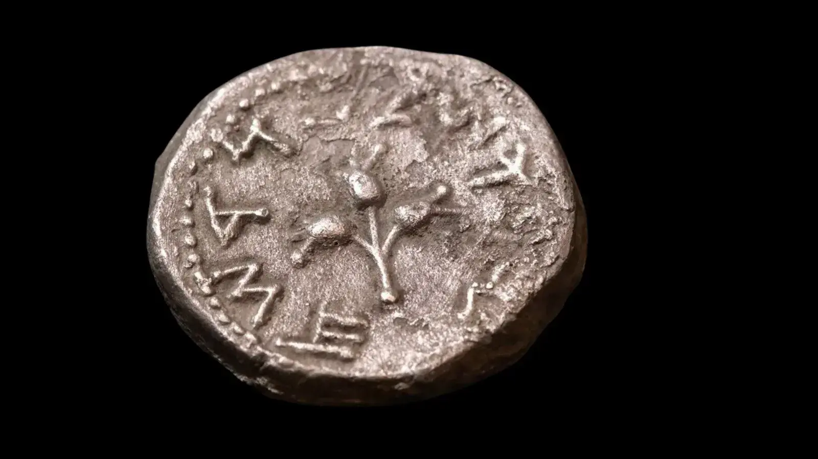 מטבע חצי שקל מהשנה הראשונה למרד הראשון של היהודים ברומאים שנחשף במדבר יהודה