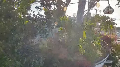 קונטנטו, תל אביב