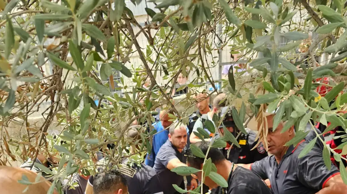 חילוץ שני כבאים ואדם נוסף מבור בדיר אל אסד 13 באוגוסט 2023